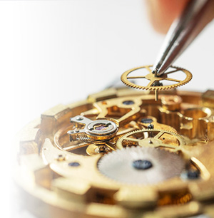 Watch tools