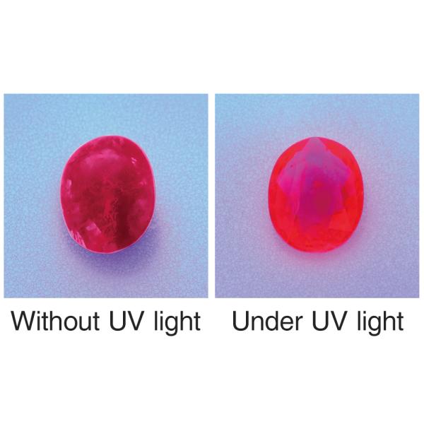 UV POWER LIGHT-1 without battery