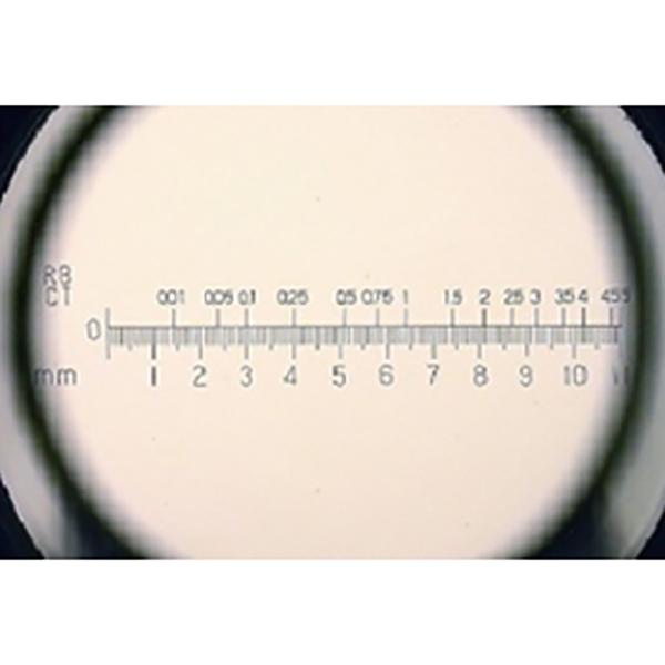 CARAT ESTIMATION SCALE LOUPE