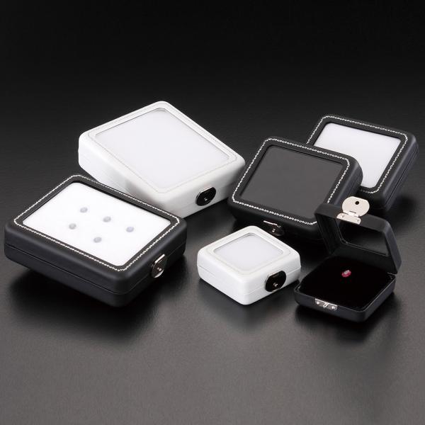 LOOSE STONE CASE M50