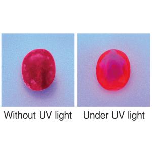 UV POWER LIGHT-1 without battery
